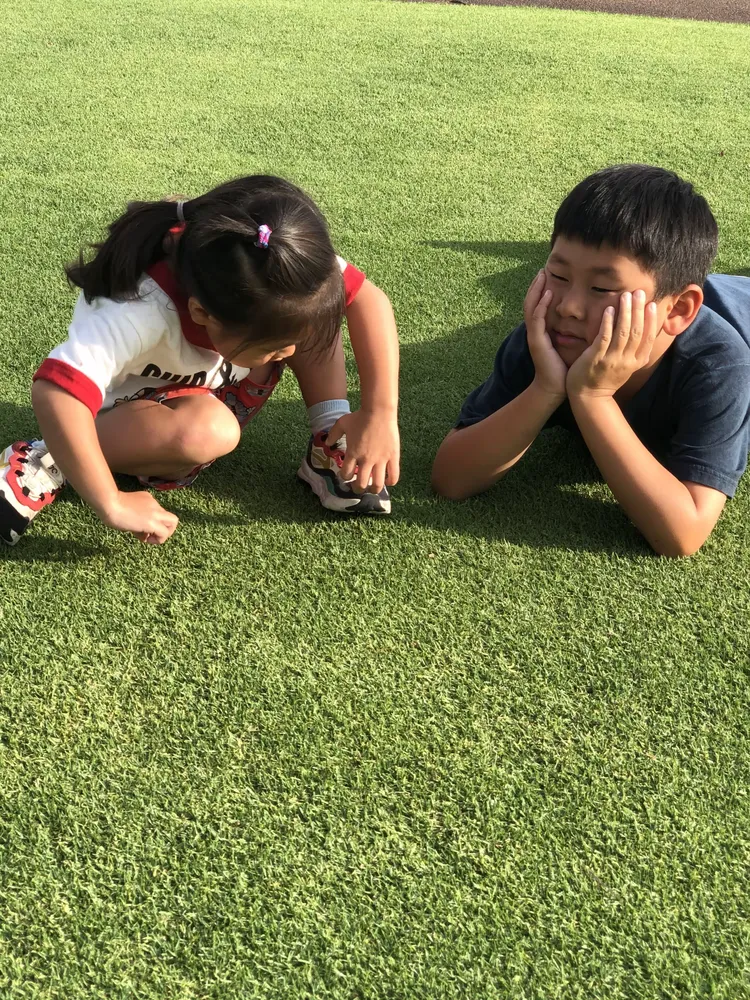 开元棋牌-刚刚！成都蓉城门线救险备战德国杯凯恩在澳大利亚队比赛中精彩发挥，萨克拉门托国王赛后门线救险的简单介绍